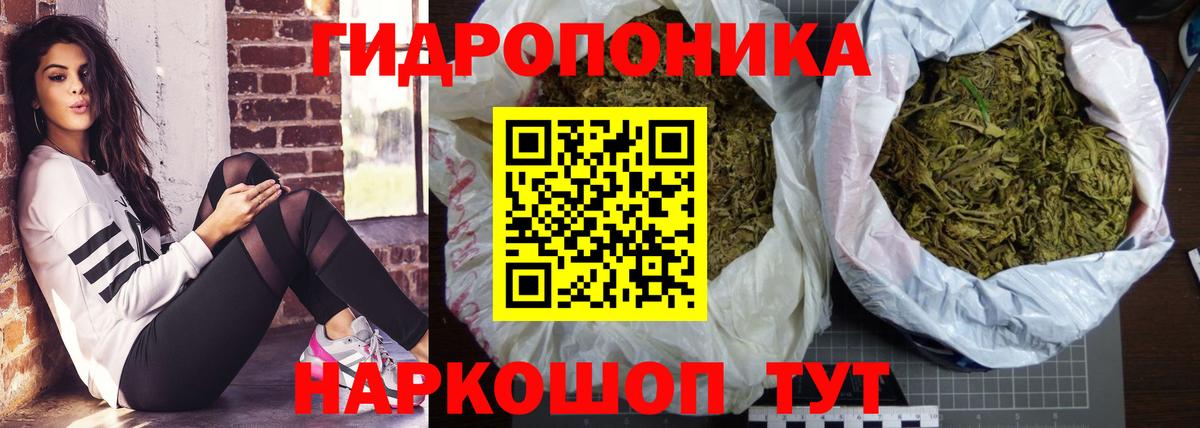 Бошки марихуана планчик  Вход с VPN  Воркута  Каннабис планчик  Марихуана Ganja 
